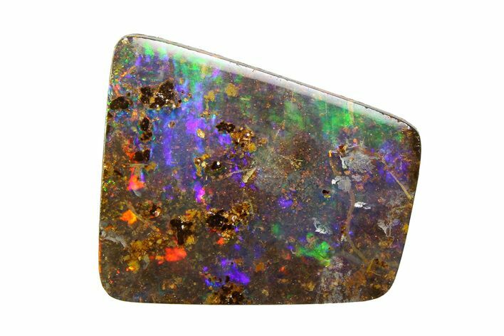 Colorful Polished Boulder Opal Specimen - Queensland, Australia #351898